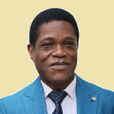 M. Patrick Mavinga